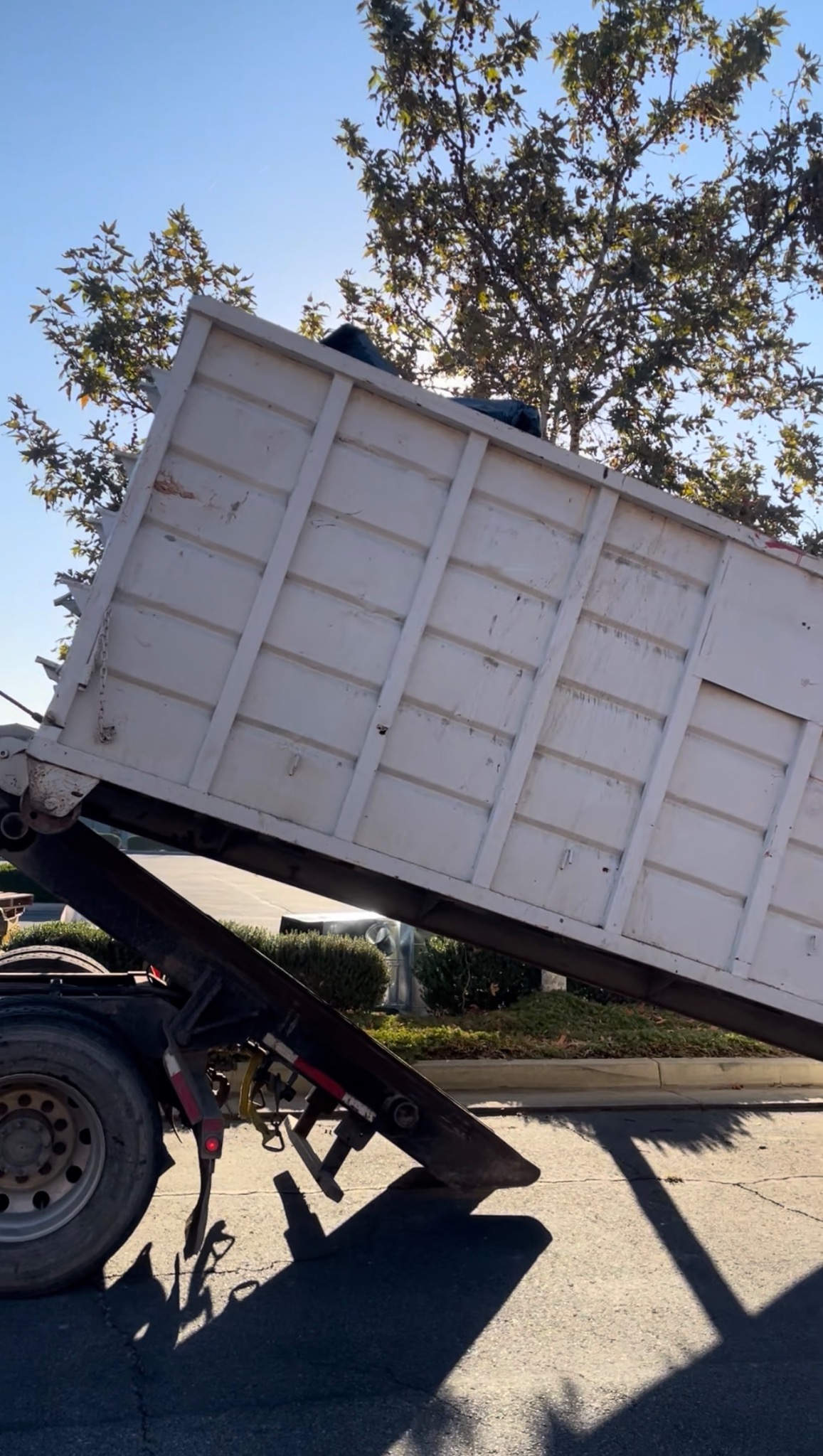 White roll-off container delivery